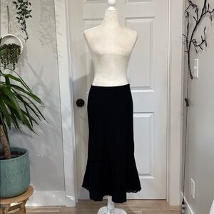 Express Black A-Line Skirt